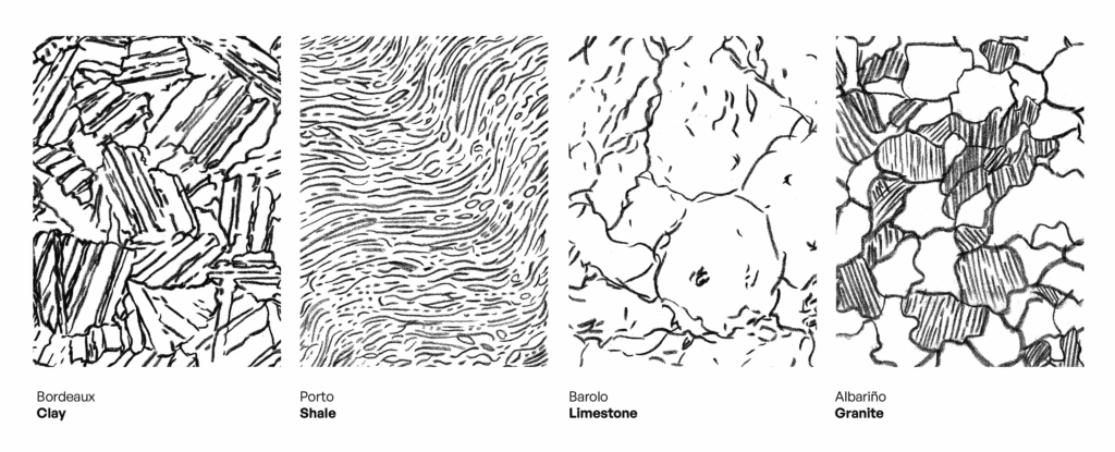 Illustrations des étiquettes pour les bouteilles Sogrape World Wines.